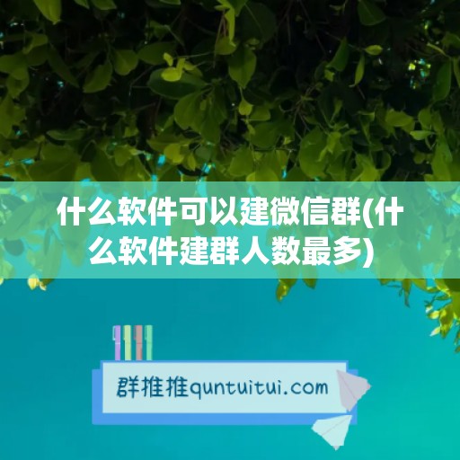 什么软件可以建微信群(什么软件建群人数最多)