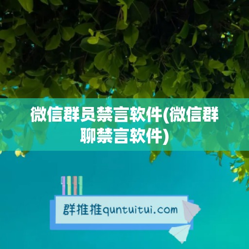 微信群员禁言软件(微信群聊禁言软件)