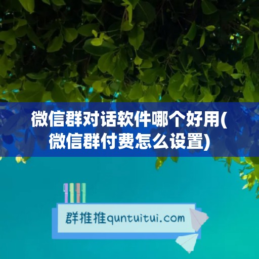 微信群对话软件哪个好用(微信群付费怎么设置)