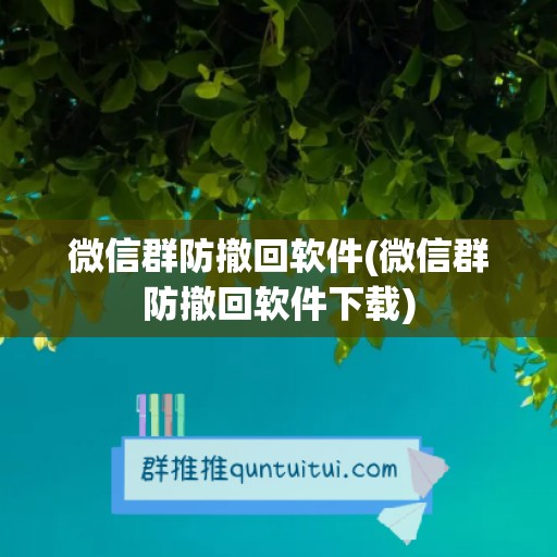 微信群防撤回软件(微信群防撤回软件下载)