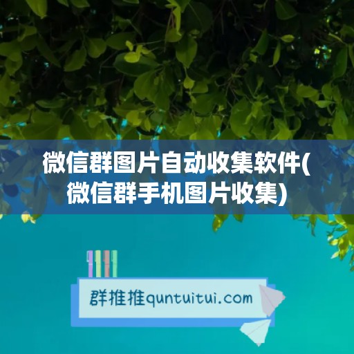 微信群图片自动收集软件(微信群手机图片收集)