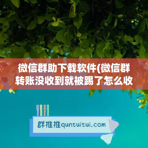 微信群助下载软件(微信群转账没收到就被踢了怎么收钱)