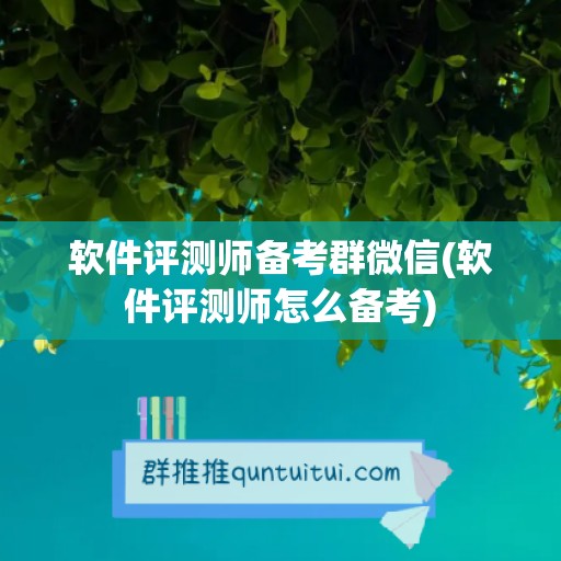 软件评测师备考群微信(软件评测师怎么备考)