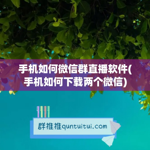 手机如何微信群直播软件(手机如何下载两个微信)