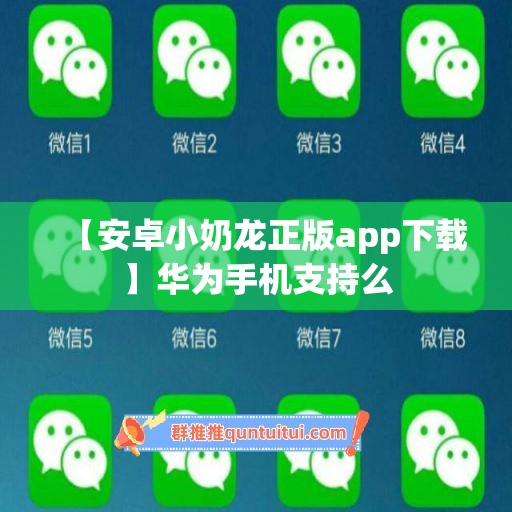 【安卓小奶龙正版app下载】华为手机支持么