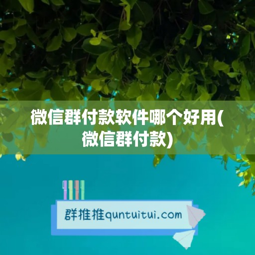 微信群付款软件哪个好用(微信群付款)