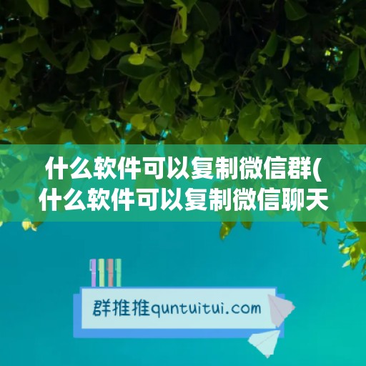 什么软件可以复制微信群(什么软件可以复制微信聊天记录)