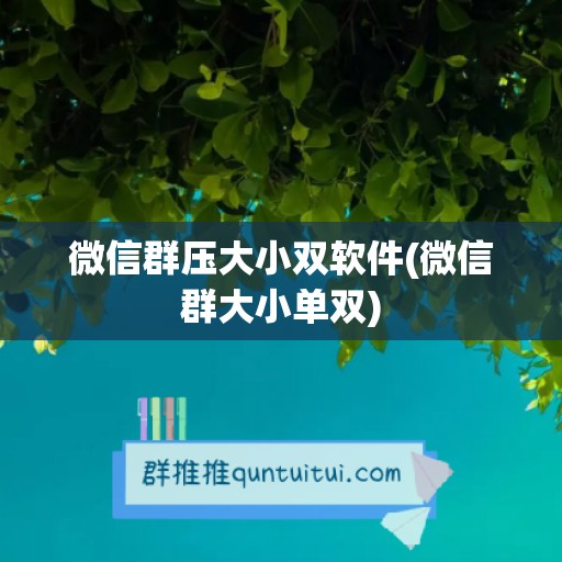 微信群压大小双软件(微信群大小单双)