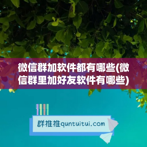 微信群加软件都有哪些(微信群里加好友软件有哪些)