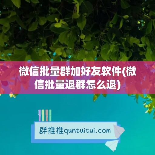 微信批量群加好友软件(微信批量退群怎么退)