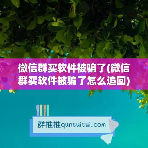 微信群买软件被骗了(微信群买软件被骗了怎么追回)