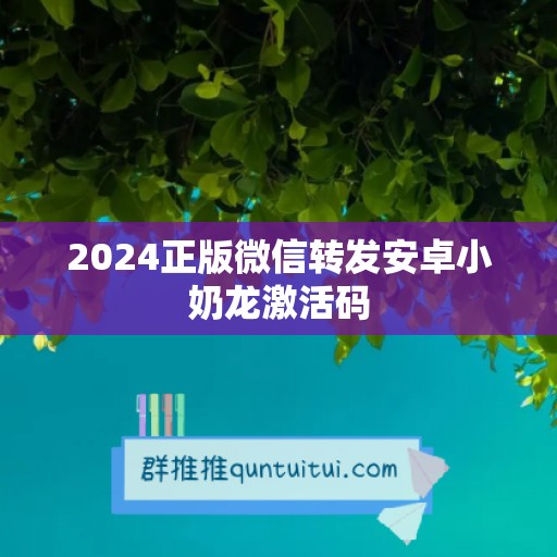 2024正版微信转发安卓小奶龙激活码