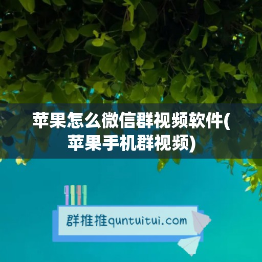 苹果怎么微信群视频软件(苹果手机群视频)