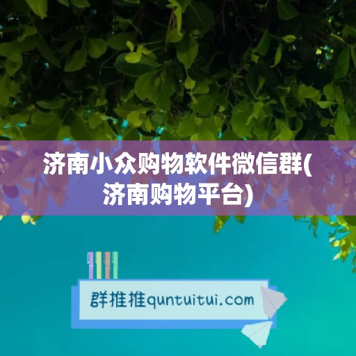 济南小众购物软件微信群(济南购物平台)