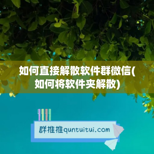 如何直接解散软件群微信(如何将软件夹解散)