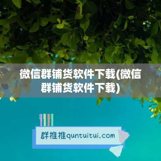 微信群铺货软件下载(微信群铺货软件下载)