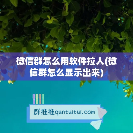 微信群怎么用软件拉人(微信群怎么显示出来)