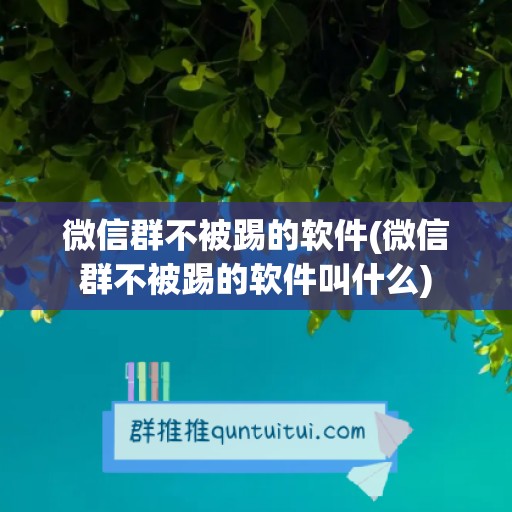 微信群不被踢的软件(微信群不被踢的软件叫什么)