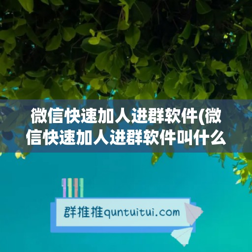 微信快速加人进群软件(微信快速加人进群软件叫什么)