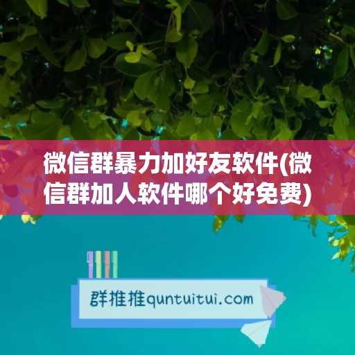 微信群暴力加好友软件(微信群加人软件哪个好免费)