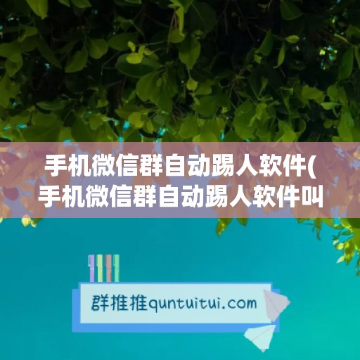 手机微信群自动踢人软件(手机微信群自动踢人软件叫什么)