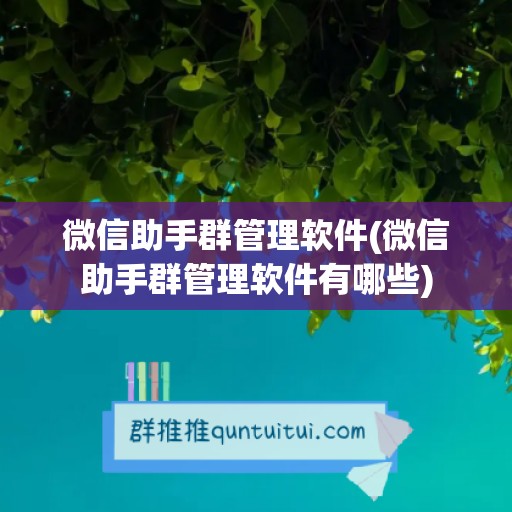 微信助手群管理软件(微信助手群管理软件有哪些)