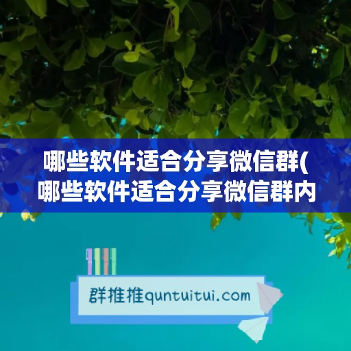 哪些软件适合分享微信群(哪些软件适合分享微信群内容)