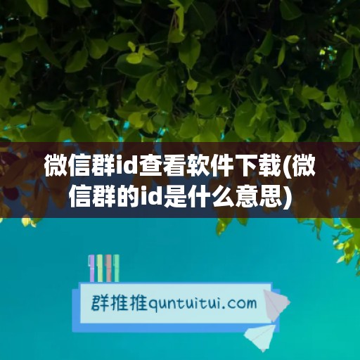 微信群id查看软件下载(微信群的id是什么意思)