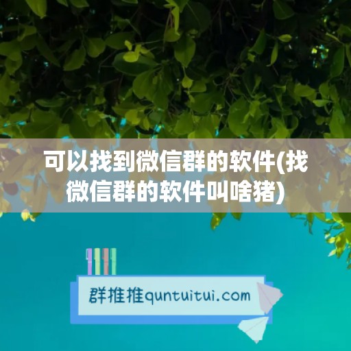 可以找到微信群的软件(找微信群的软件叫啥猪)