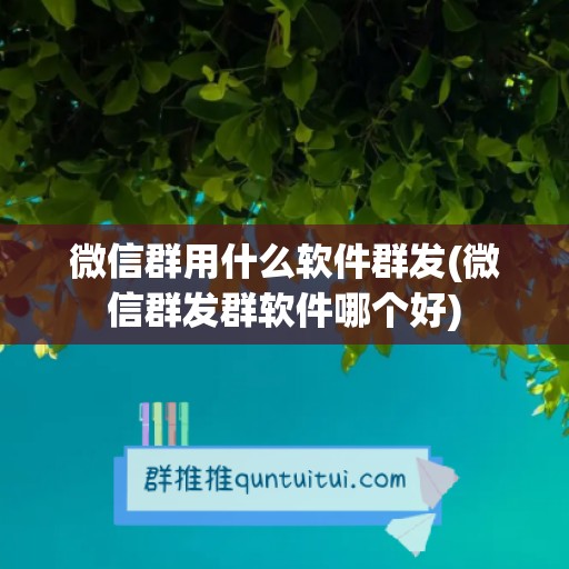 微信群用什么软件群发(微信群发群软件哪个好)