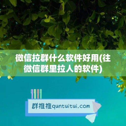 微信拉群什么软件好用(往微信群里拉人的软件)