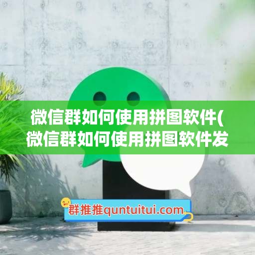 微信群如何使用拼图软件(微信群如何使用拼图软件发图片)