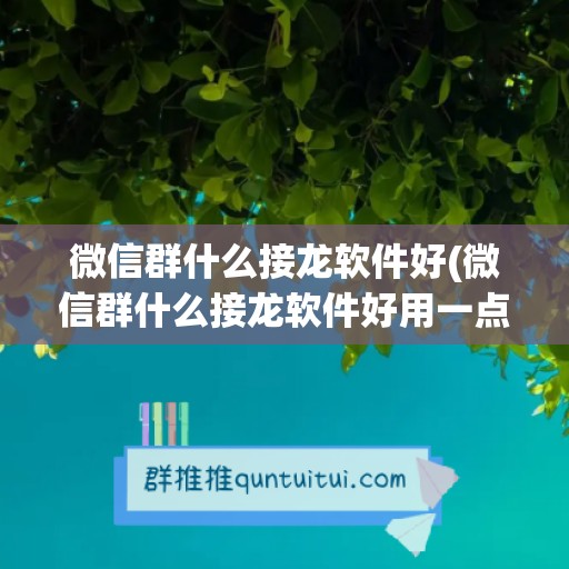 微信群什么接龙软件好(微信群什么接龙软件好用一点)