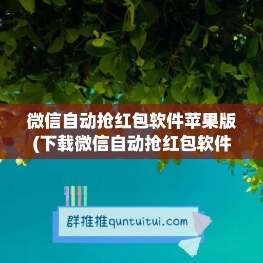 微信自动抢红包软件苹果版(下载微信自动抢红包软件)