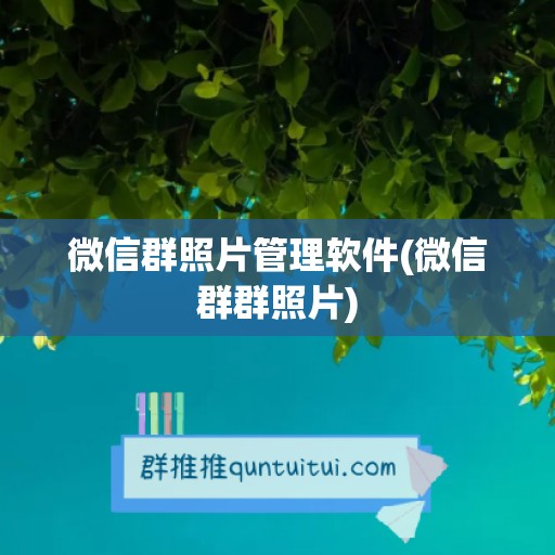 微信群照片管理软件(微信群群照片)