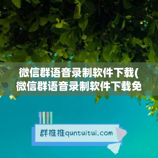 微信群语音录制软件下载(微信群语音录制软件下载免费)