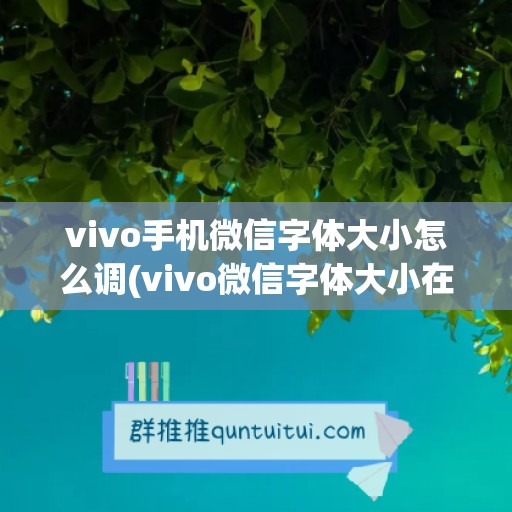 vivo手机微信字体大小怎么调(vivo微信字体大小在哪设置)