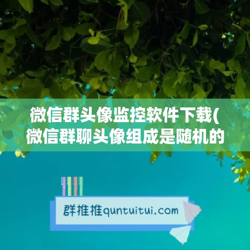 微信群头像监控软件下载(微信群聊头像组成是随机的吗)