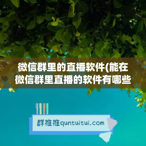 微信群里的直播软件(能在微信群里直播的软件有哪些)