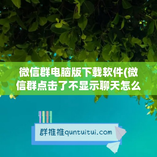 微信群电脑版下载软件(微信群点击了不显示聊天怎么调回来)