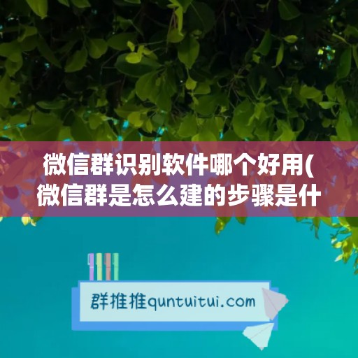 微信群识别软件哪个好用(微信群是怎么建的步骤是什么)