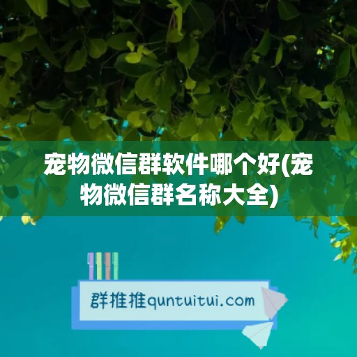 宠物微信群软件哪个好(宠物微信群名称大全)