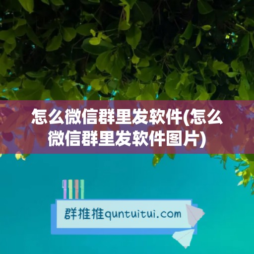 怎么微信群里发软件(怎么微信群里发软件图片)