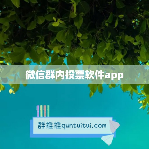 微信群内投票软件app