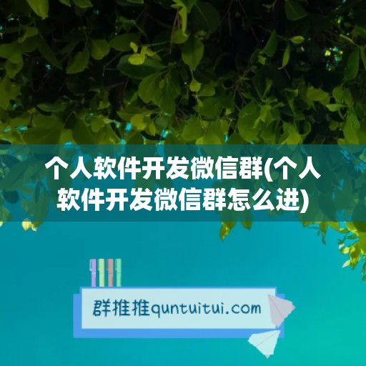 个人软件开发微信群(个人软件开发微信群怎么进)