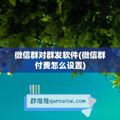 微信群对群发软件(微信群付费怎么设置)