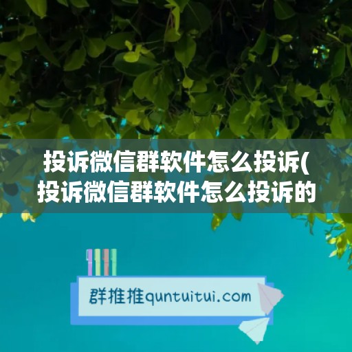 投诉微信群软件怎么投诉(投诉微信群软件怎么投诉的)