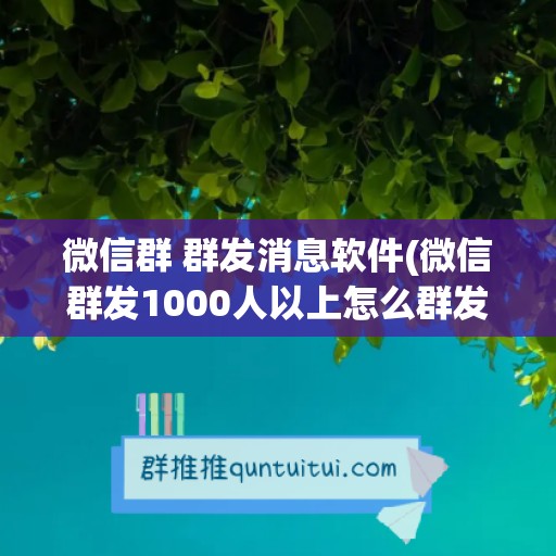 微信群 群发消息软件(微信群发1000人以上怎么群发)