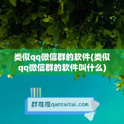 类似qq微信群的软件(类似qq微信群的软件叫什么)