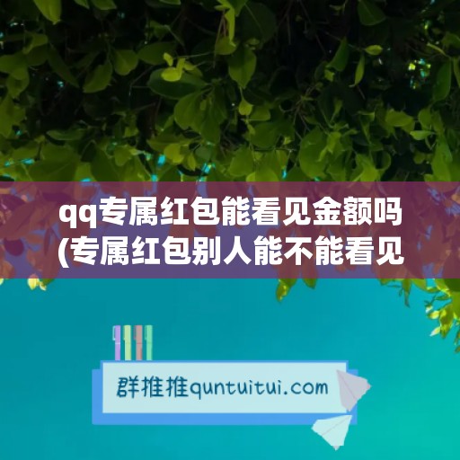 qq专属红包能看见金额吗(专属红包别人能不能看见多少钱)